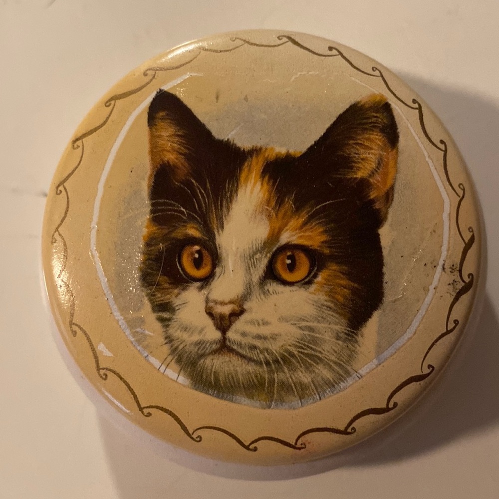 Vintage Small cat painted vintage trinket
